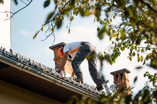 Best Storm Damage Roof Repair  in Prospect Rk, PA